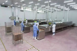 個性化定制，代言你的與眾不同——走訪三大會員企業的匠心之道